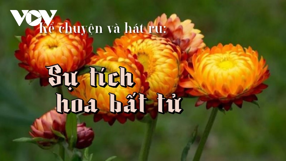 Sự tích hoa bất tử